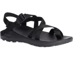 'Chaco' Men's ZCloud 2 Sandal - Black